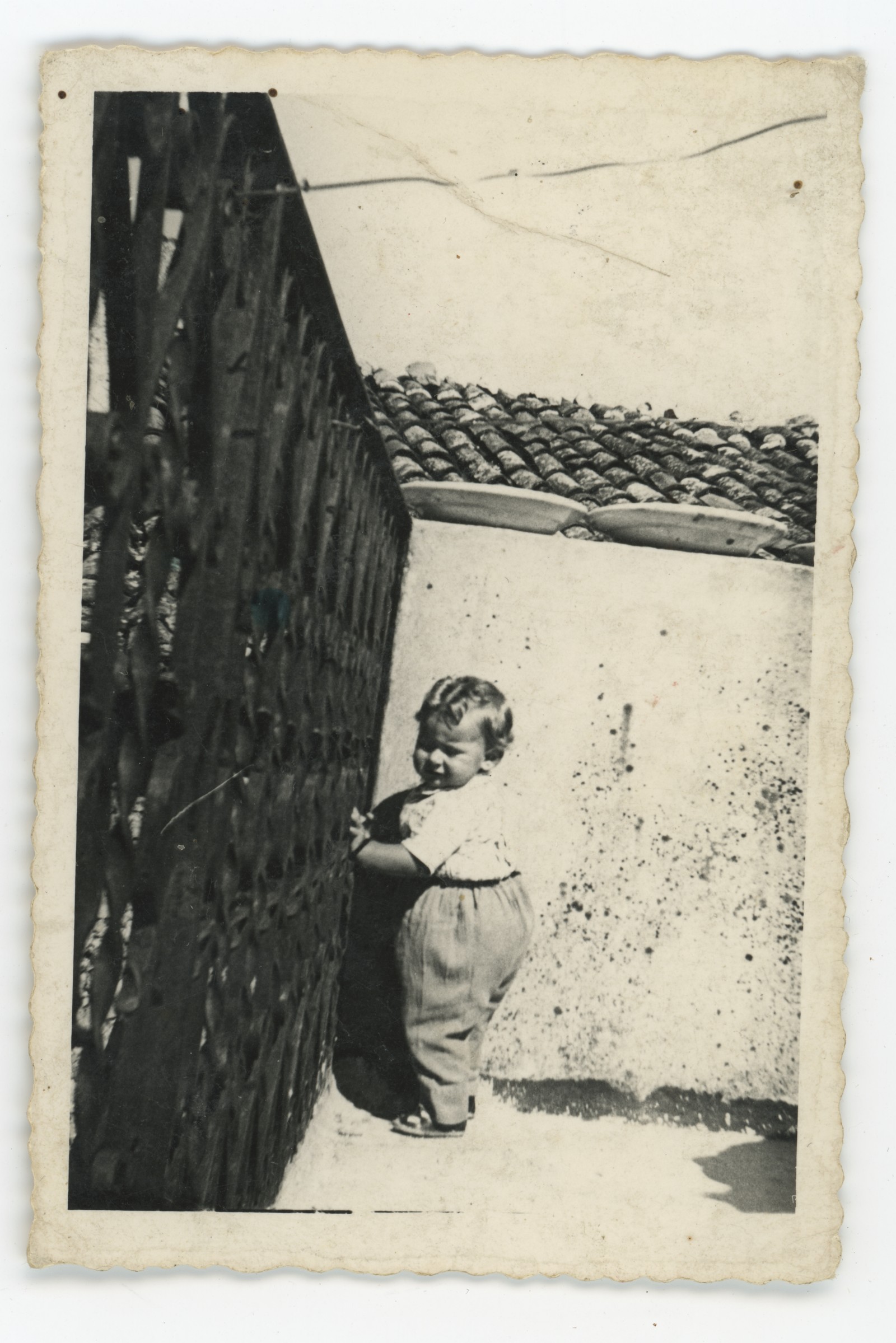 Miniatura