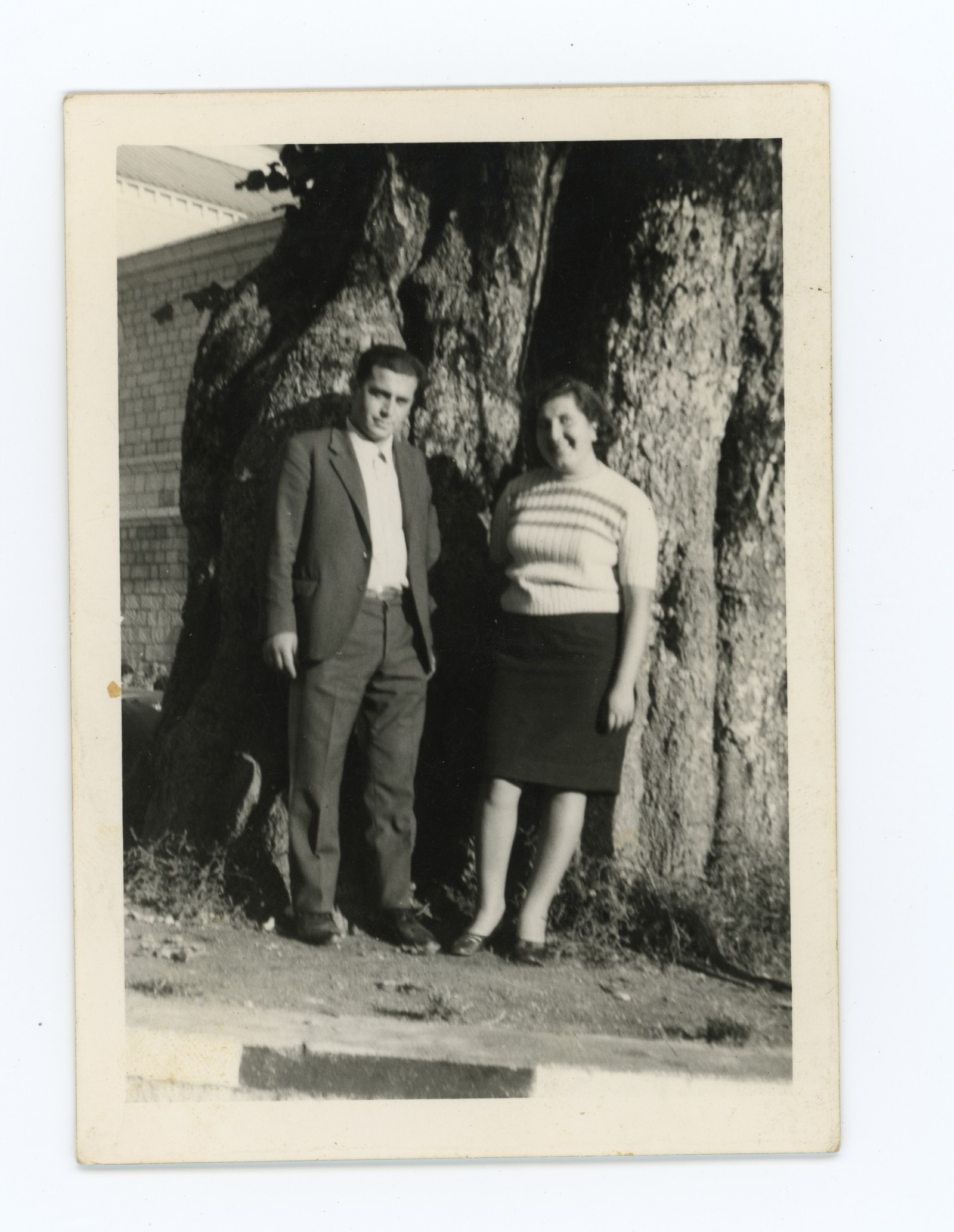 Miniatura