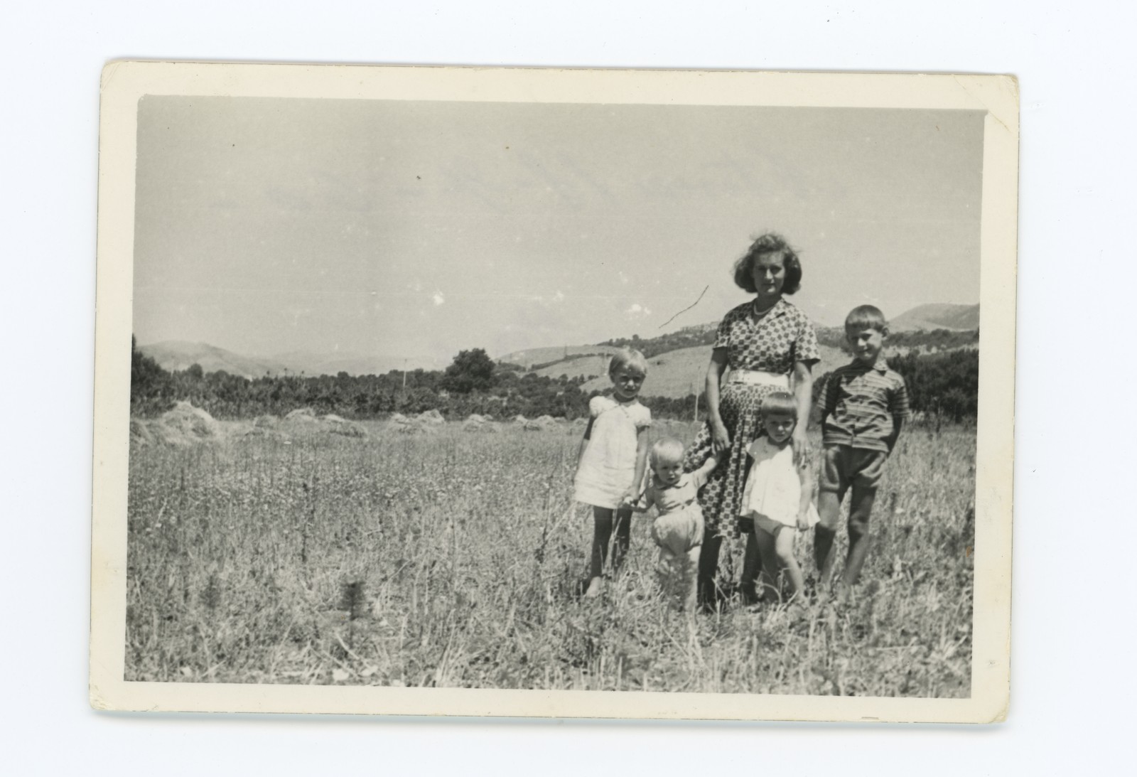 Miniatura