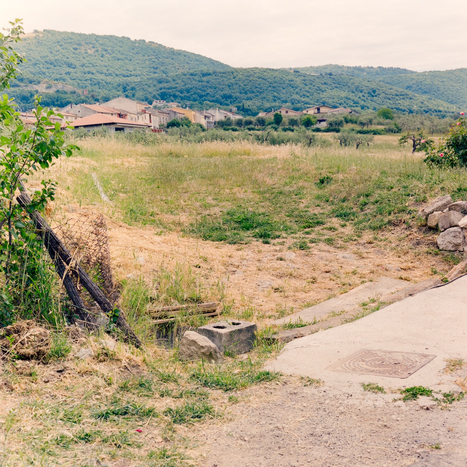 Miniatura