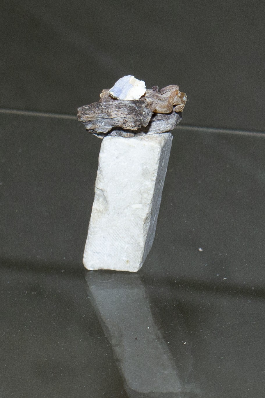 Miniatura