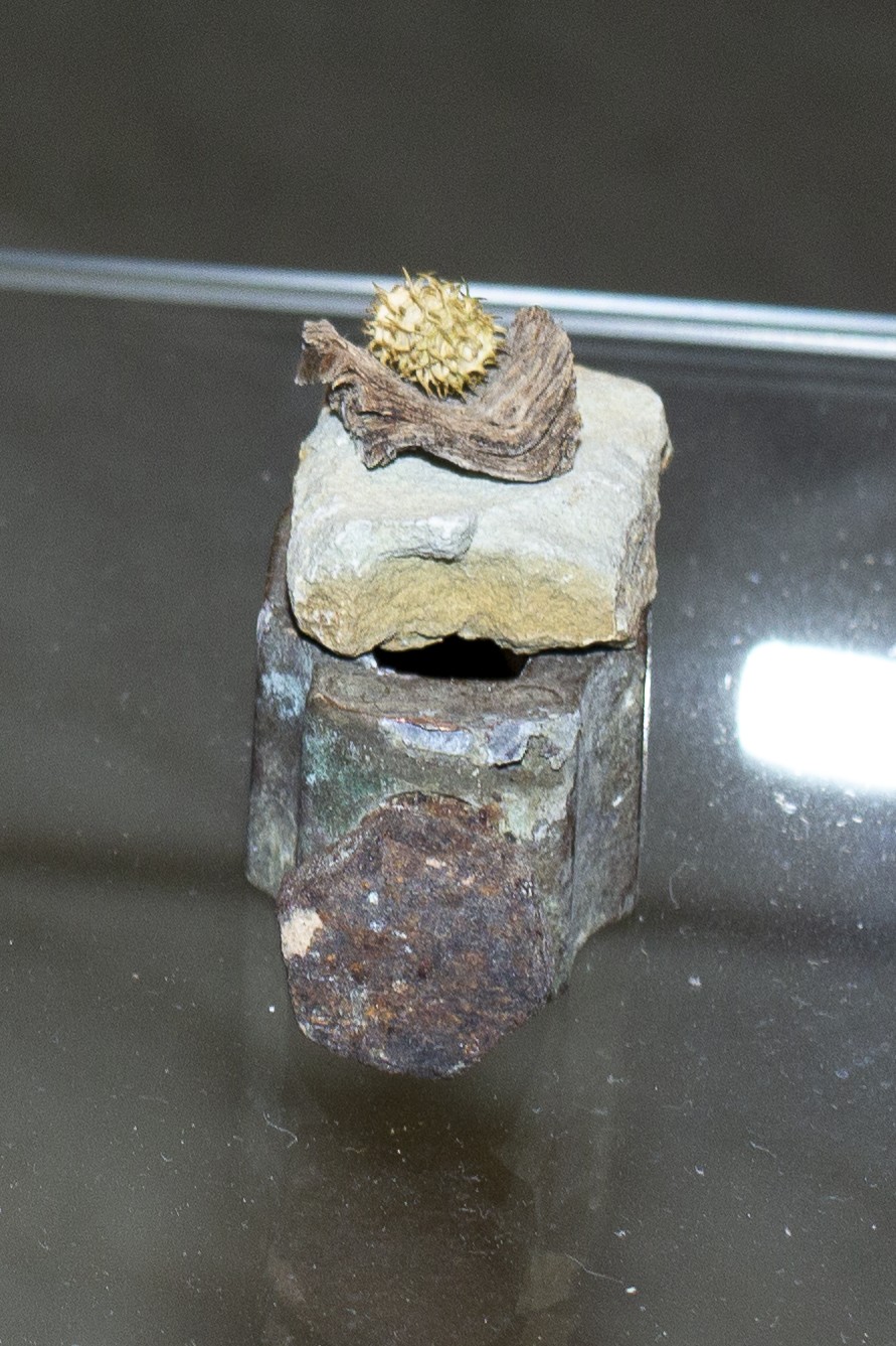 Miniatura