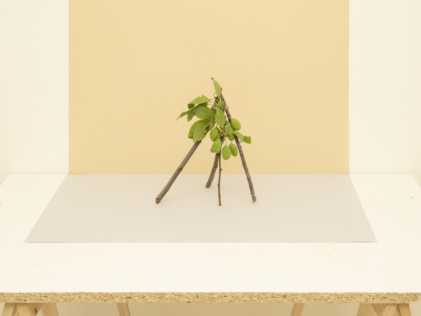 Miniatura