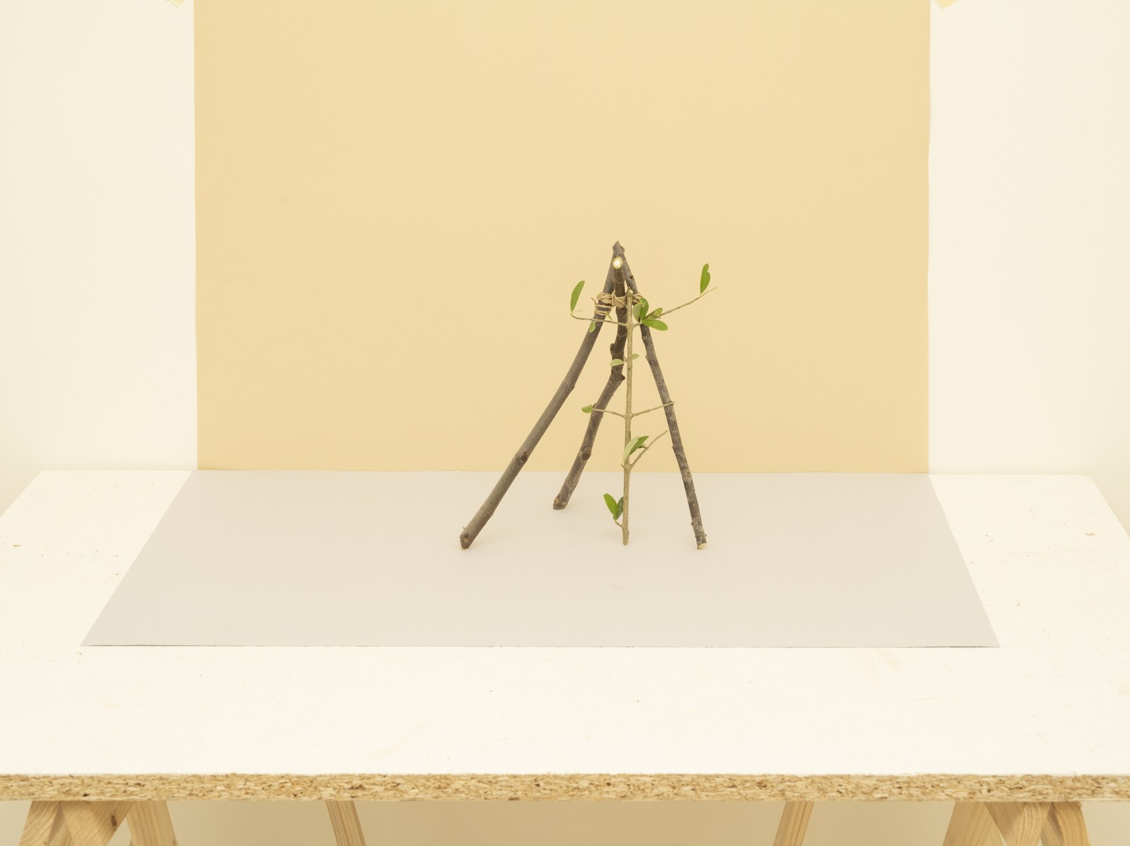 Miniatura