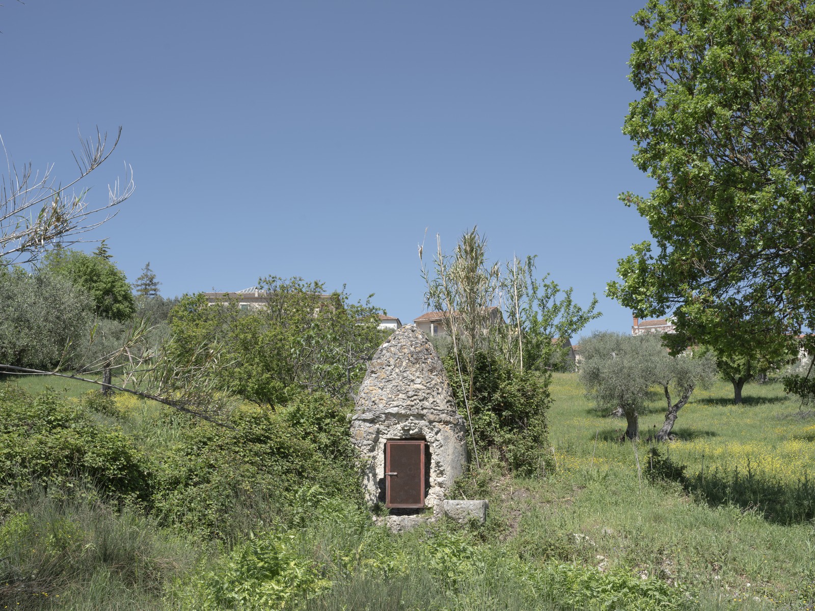 Miniatura