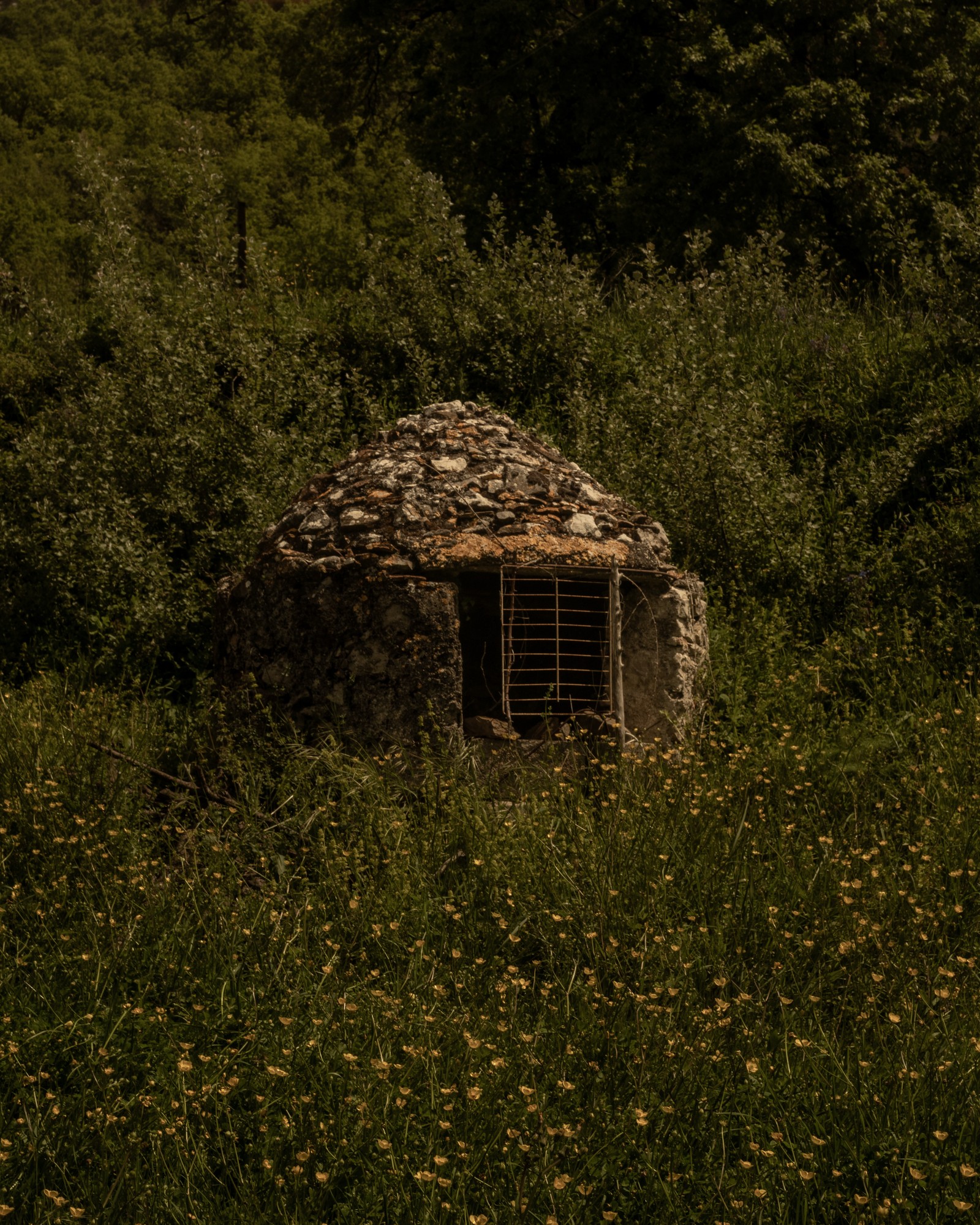 Miniatura