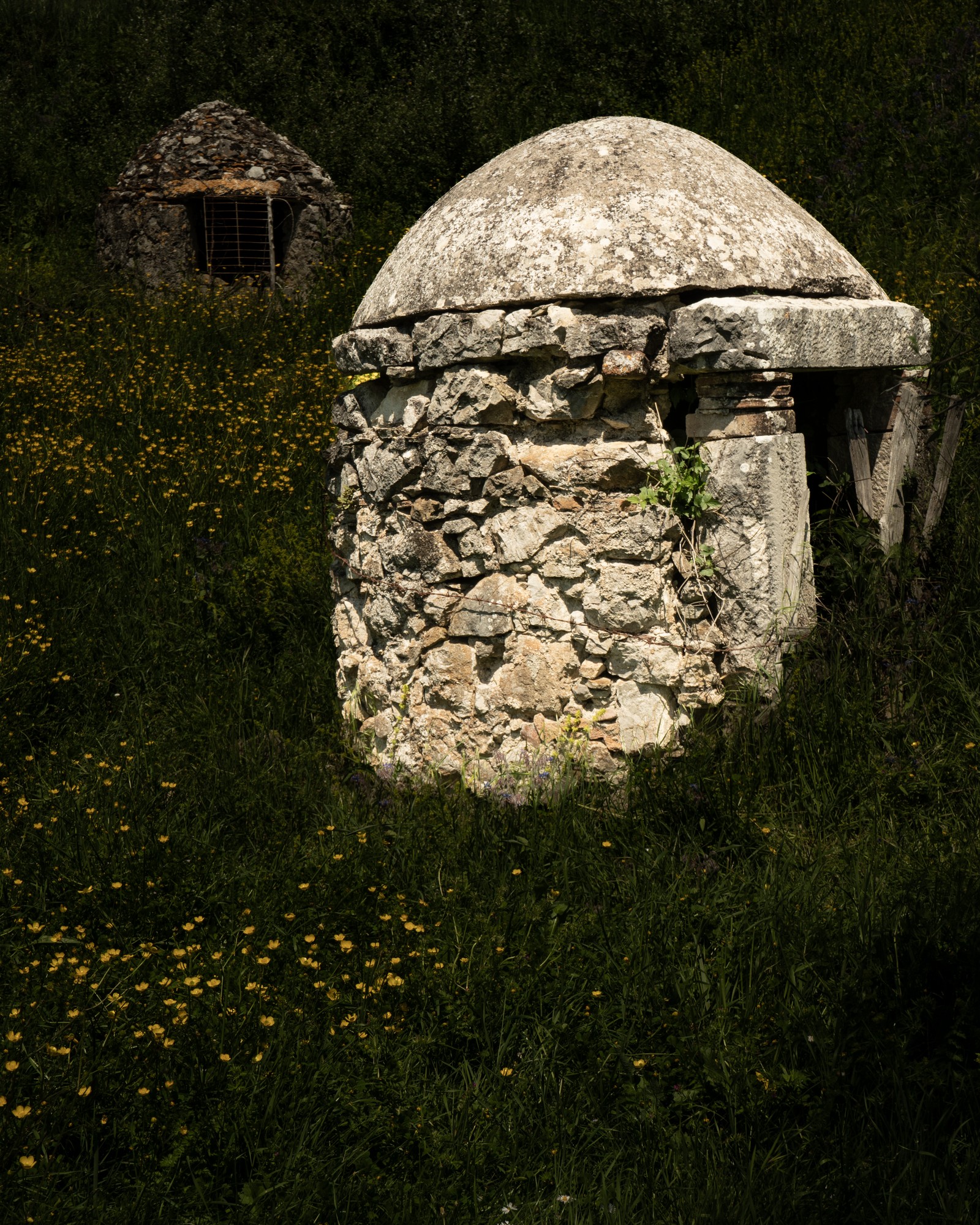 Miniatura