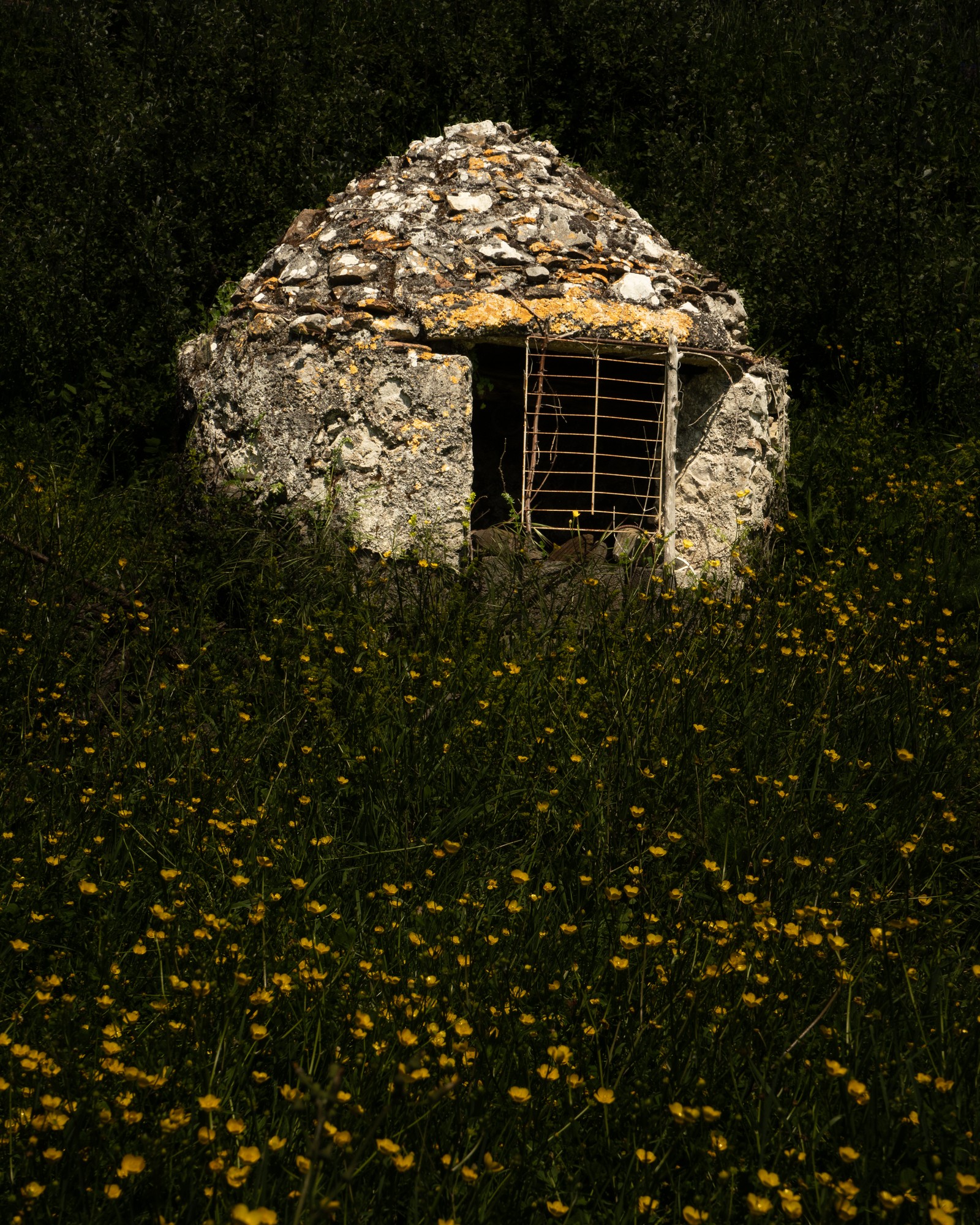 Miniatura