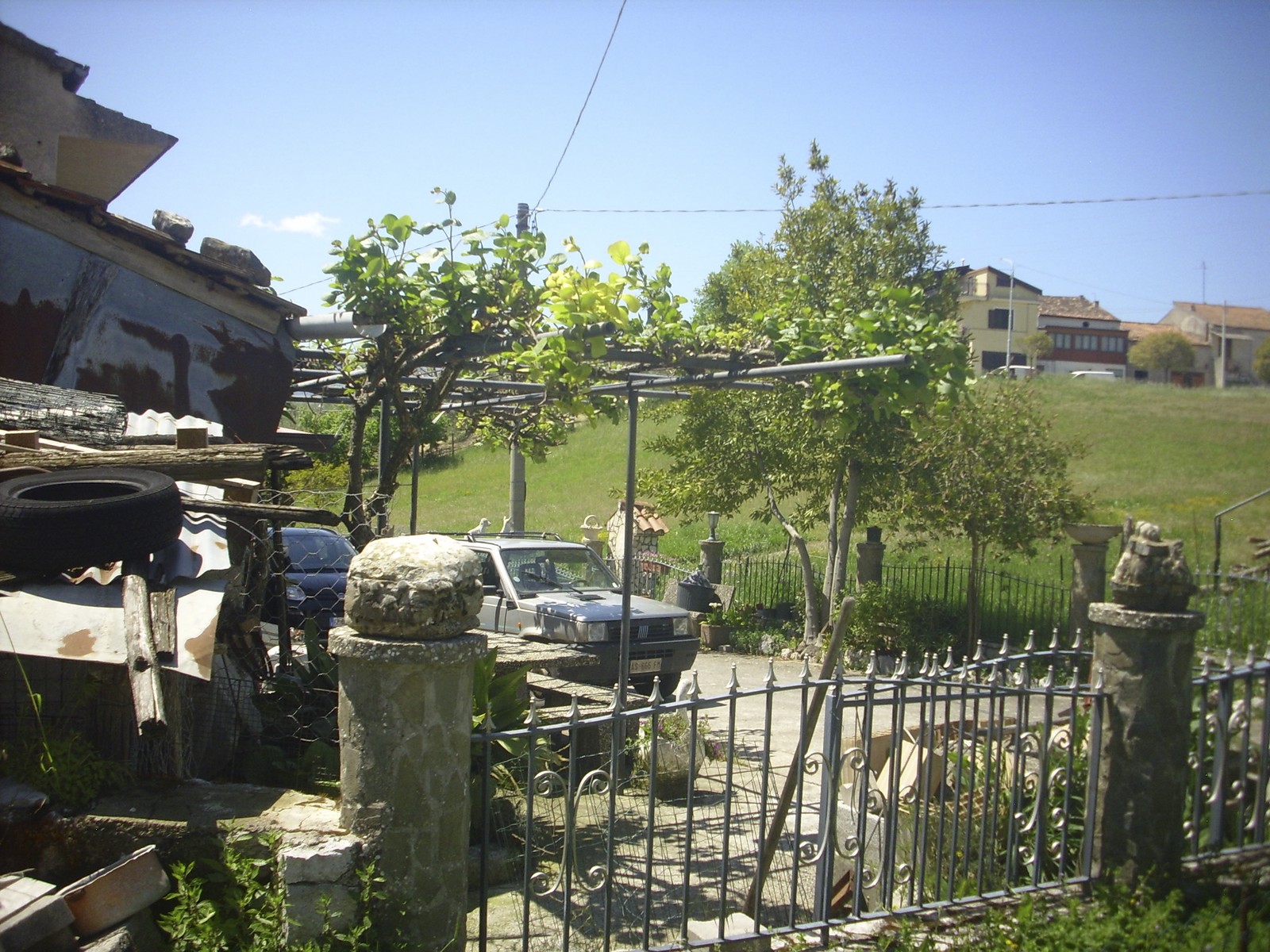 Miniatura