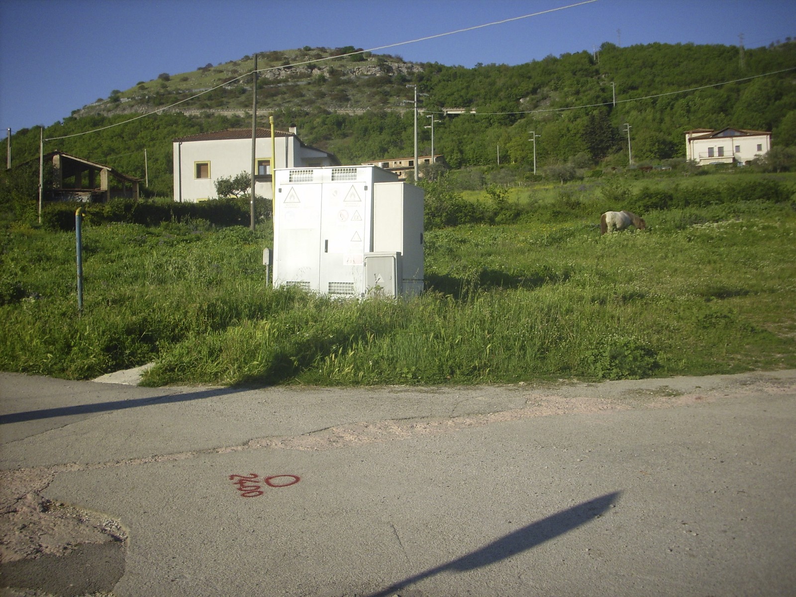 Miniatura