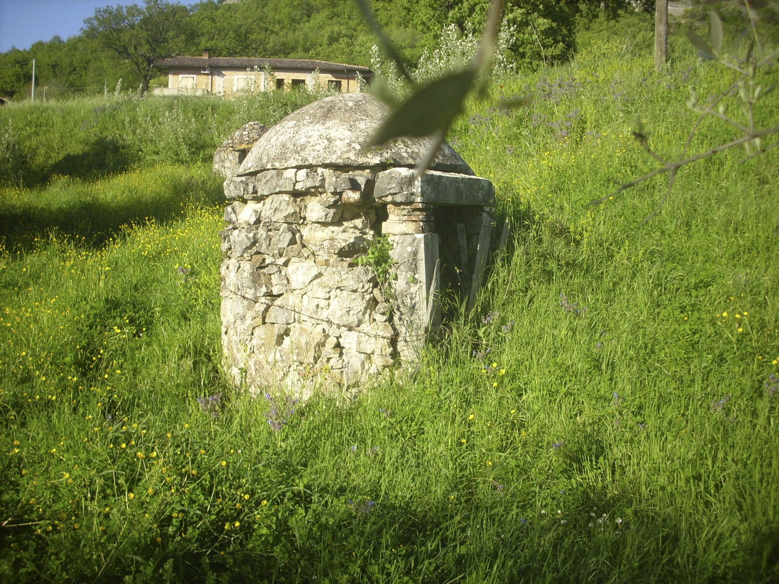 Miniatura