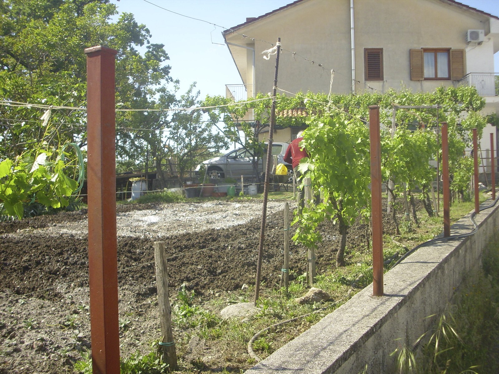 Miniatura