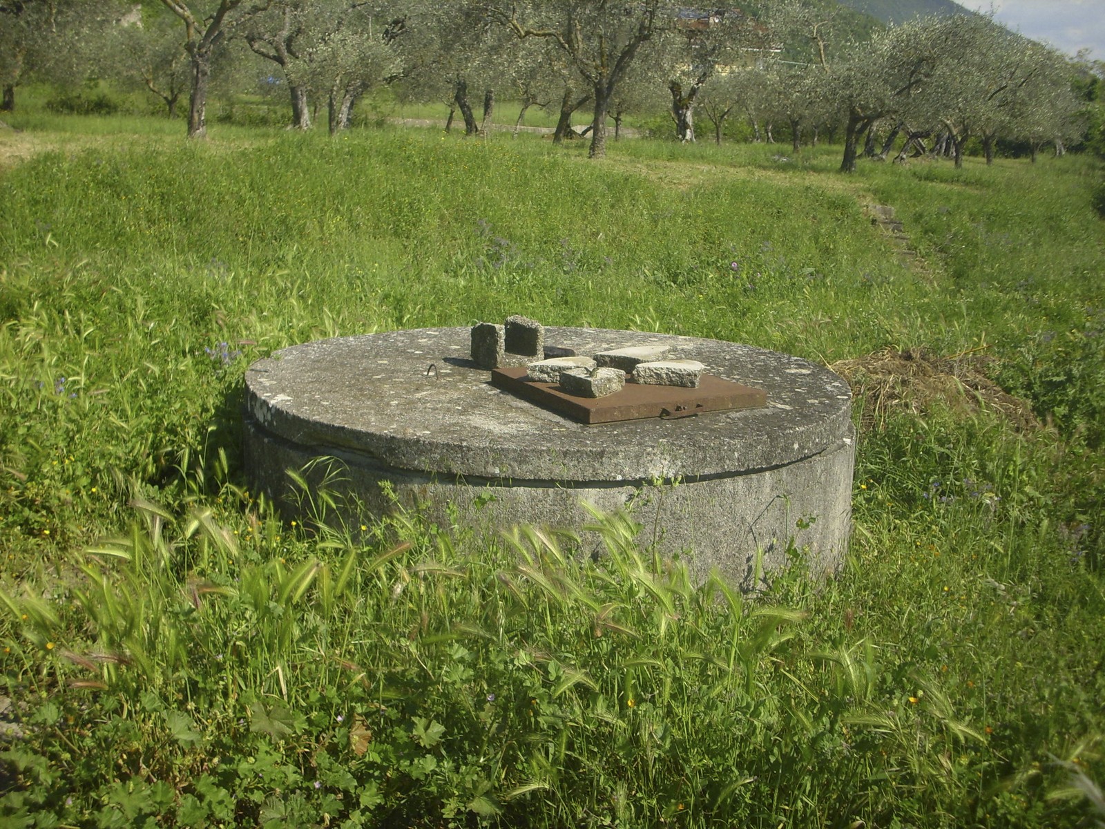 Miniatura