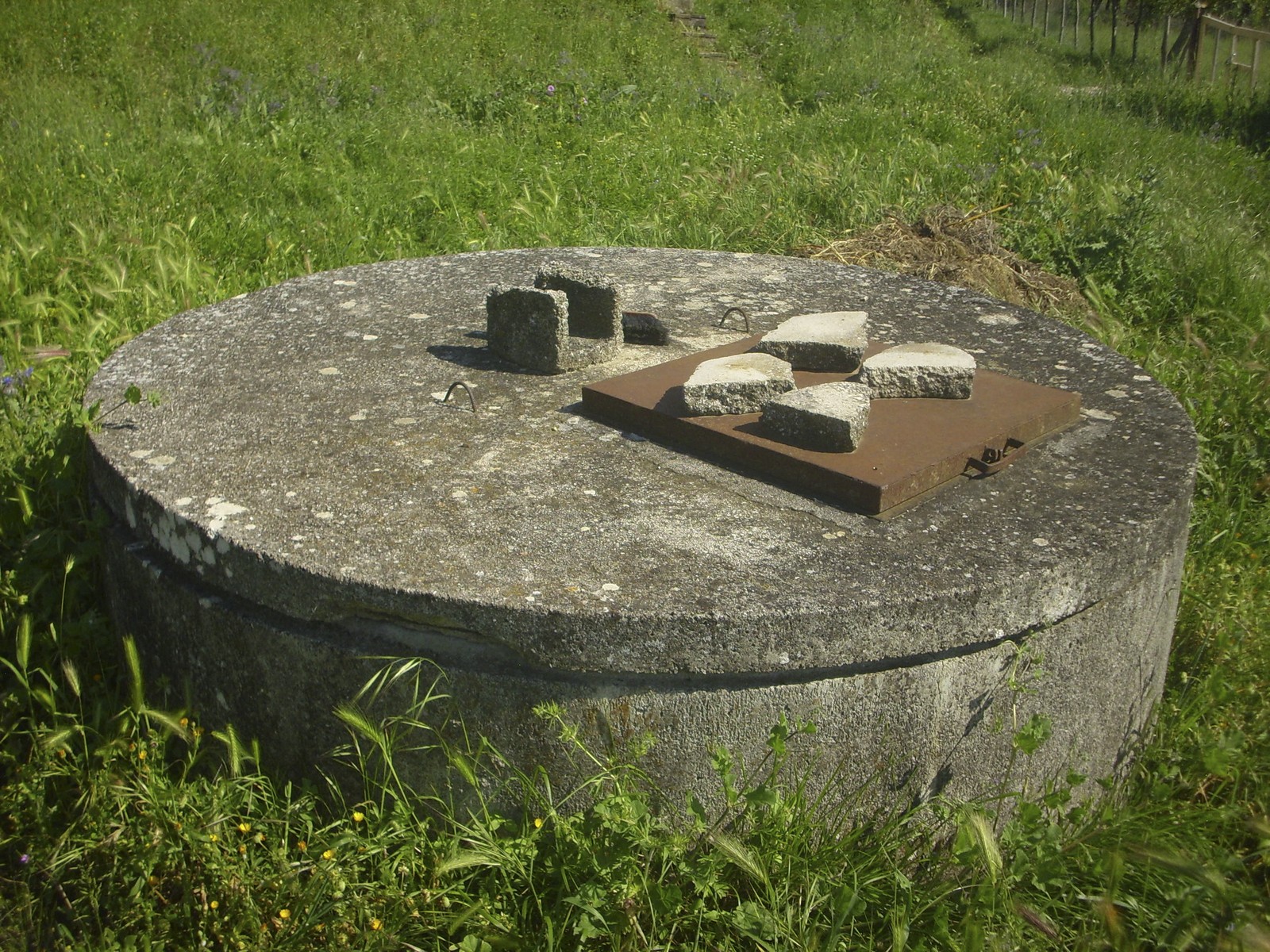 Miniatura